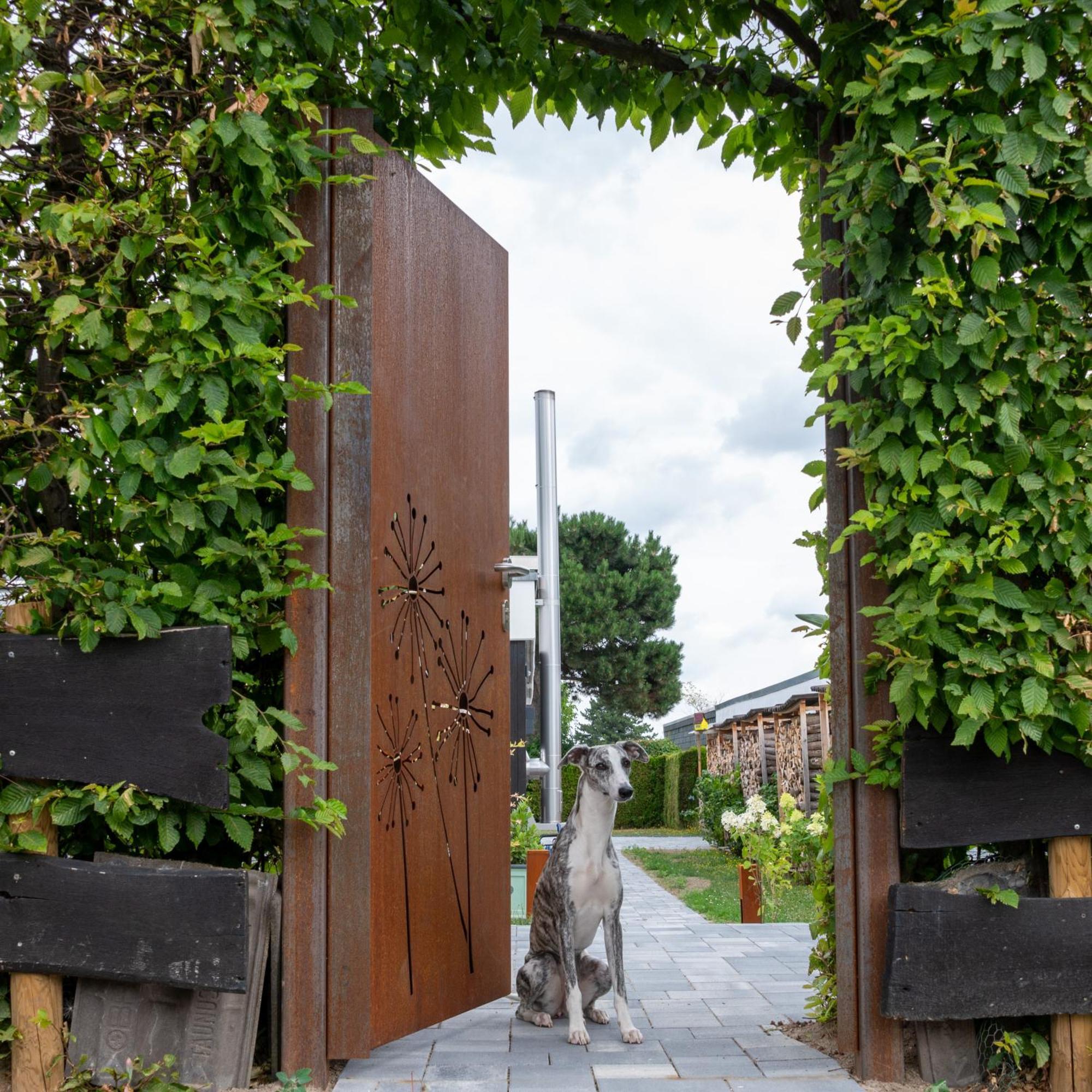 Birgits Lodge Rheinbach Buitenkant foto